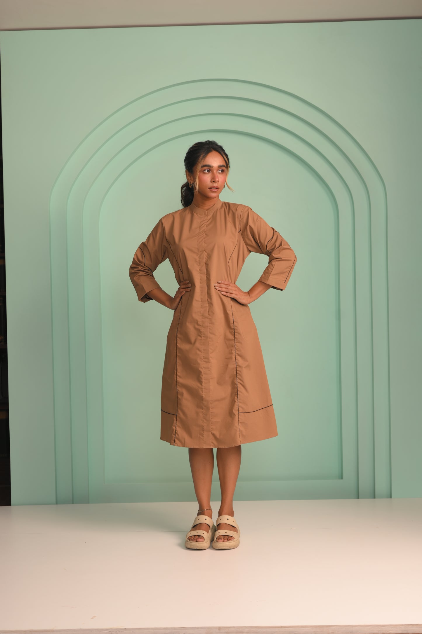 The Poplin Brown Dress