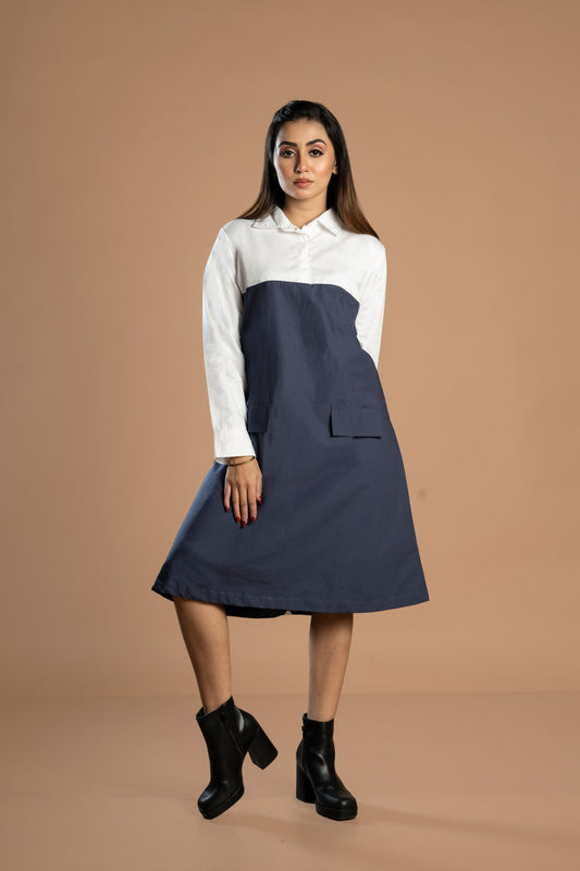 THE WHITE BLUE DRESS