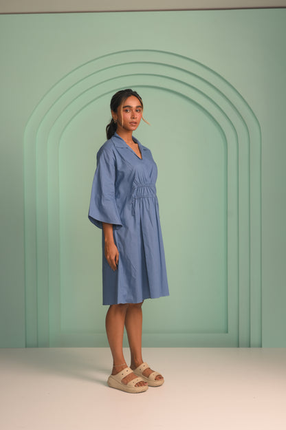 The Blue Poplin Dress